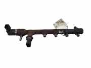 Einspritzleiste Ford Transit V363 Kasten (FCD, FDD)