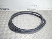 Türgummi links vorne Opel Insignia A Stufenheck (G09)