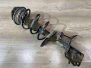 Stoßdämpfer vorne rechts RENAULT LAGUNA II (BG0/1_) 1.8 16V (BG0B, BG0C, BG0J, BG0M, BG0V)
