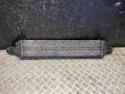 Ladeluftkühler Audi A7 Sportback (4G) 8K0145805R