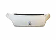 Motorhaube PEUGEOT BOXER Furgon 2.0 BlueHDi 130