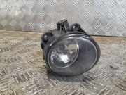 Nebelscheinwerfer rechts vorne BMW X5 (E53) 63176920885