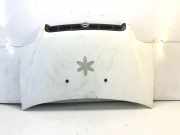 Motorhaube FIAT DOBLO MPV (119_, 223_) 1.3 JTD 16V K3220