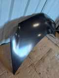 Motorhaube RENAULT MODUS / GRAND MODUS (F/JP0_) 1.5 dCi (FP0G, JP0G)