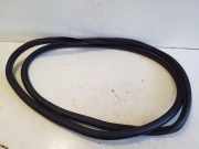 Dichtungsgummi der hinteren Tür (an der Karosserie) VW TIGUAN (AD1) 1.5 TSI 5NA867914B