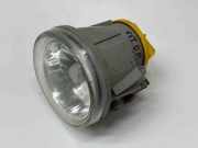 Nebelscheinwerfer rechts vorne Citroen Jumpy II Kasten () E131875