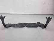 Kühlerluftumlenker LAND ROVER RANGE ROVER EVOQUE (L538) 2.0 D 4x4 GJ328A095A