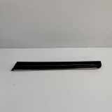 Türpolsterverkleidung hinten links AUDI Q7 (4L) 4.2 FSI quattro 4L0867419E 4L0867419