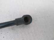 Gasfeder für Motorhaube Peugeot 406 Coupe (8C)