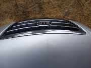 Motorhaube Kia Sorento (JC)