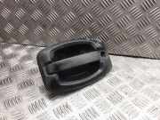 Türgriff links hinten Fiat Ducato Pritsche (290)