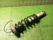 Stoßdämpfer links hinten BMW 6er (E63) 2283067