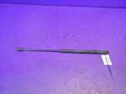 Gasfeder für Motorhaube Fiat Stilo (192) 46784590