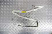Dach SRS rechts LAND ROVER RANGE ROVER EVOQUE (L538) 2.2 D 4x4 BJ3214K159BB