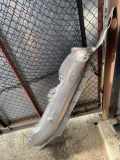 Heat Insulation BMW 5 (G30) 520 d xDrive 7340212