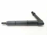 Einspritzdüse NISSAN ALMERA TINO (V10) 2.2 dCi 484391