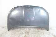 Motorhaube Fiat 500 (312)