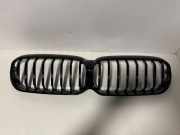 Vorderer oberer Gitter BMW 5 (G30) 530 i 9852168