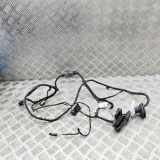 Türverkabelung hinten links BMW X7 (G07) xDrive 40 i Mild Hydrid 5A47913