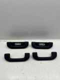 Dachgriffset (innen) MERCEDES-BENZ EQA(H243) 250 (243.701) 01319002