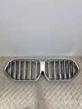 Gitter BMW X6(G06) (G06, F96) xDrive 40 i 21454110