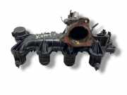 Ansaugbrücke LAND ROVER FREELANDER 2 (L359) 2.2 TD4 4x4 9662010880