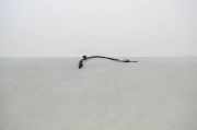 Abgastemperatursensor BMW 3 (F30, F80) 316 i 8581103