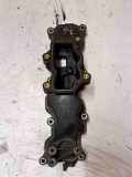 Ansaugkrümmer Audi A6 Avant (4F, C6) 2900312519