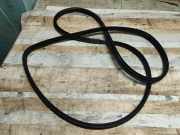 Dichtungsgummi der rechten hinteren Tür HYUNDAI SANTA FÉ II (CM) 2.2 CRDi GLS 4x4