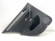 Türpolster hinten links