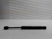 Heckklappe Gasdruckfeder links NISSAN PRIMERA (P12) 1.8 84430AV600