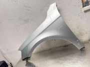 Kotflügel vorne rechts