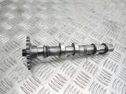 Auspuffkrümmer Subaru Forester (SH)