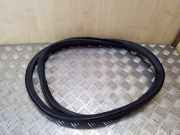 Türdichtung VW Passat B7 (362) 3C9867913B