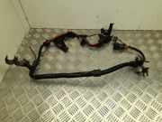 SONSTIGE KABELBÄUME