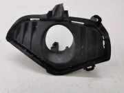 Nebelscheinwerferverkleidung