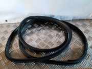 Türgummi rechts vorne Nissan Juke (F15)