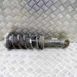 Stoßdämpfer hinten links