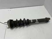 Stoßdämpfer hinten links PORSCHE 911 Targa (991) 3.8 Carrera 4S 99133305308
