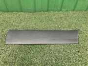 Türzierleiste vorne rechts MERCEDES-BENZ SPRINTER 3,5-t Van (907, 910) 314 CDI (910.631, 910.633) 9106908201 9106900300