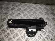 Türaußengriff vorne links