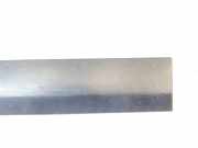 Türverkleidung links Fiat Scudo Kasten (270) 1497643077