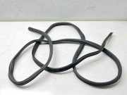 Dichtung für Koffer-/Laderaumklappe VW Transporter T5 Kasten ()