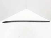 Zierleiste Windschutzscheibe Frontscheibe BMW X5 (F15, F85) xDrive 40e 7462206