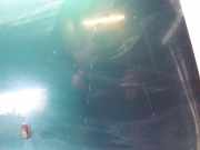 Motorhaube VW Passat B3/B4 Variant (3A5, 35I)