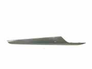 Türverkleidung rechts vorne BMW X1 (E84) 7317556