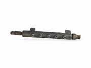 KRAFTSTOFFVERTEILER EINSPRITZLEISTE VERTEILERROHR NISSAN PATHFINDER III (R51) 2.5 dCi 4WD