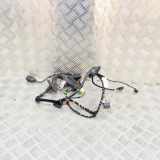 Kabel Tür VW Tiguan I (5N) 5N2971121