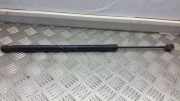 Heckklappendämpfer links Toyota Corolla Verso (E12J1) 689600F012