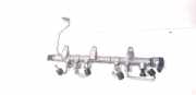 Einspritzleiste Hyundai Tucson III (TL, TLE) 314002F600